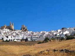 Olvera